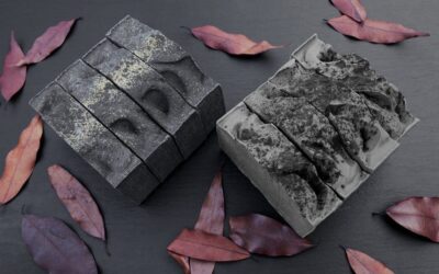 A second life to the ashes of forest fires